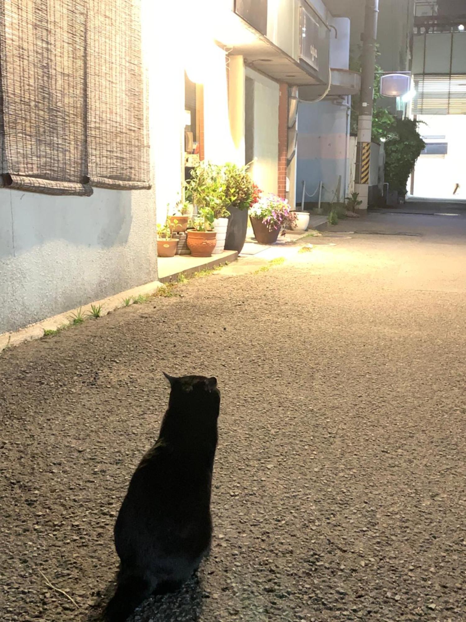 築地 ホステル 和歌山 1 エクステリア 写真